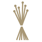 logo tecnología hilo