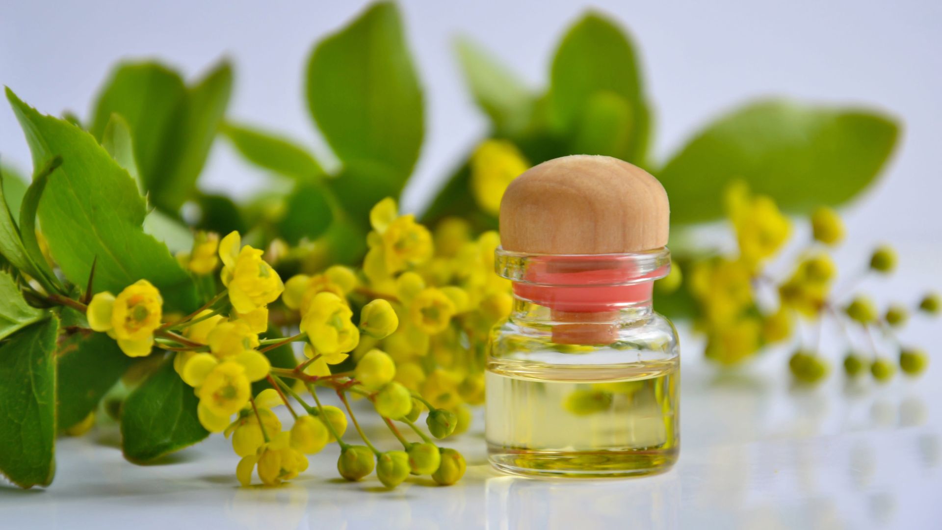 ¿Funciona la aromaterapia para mejorar la calidad del sueño?